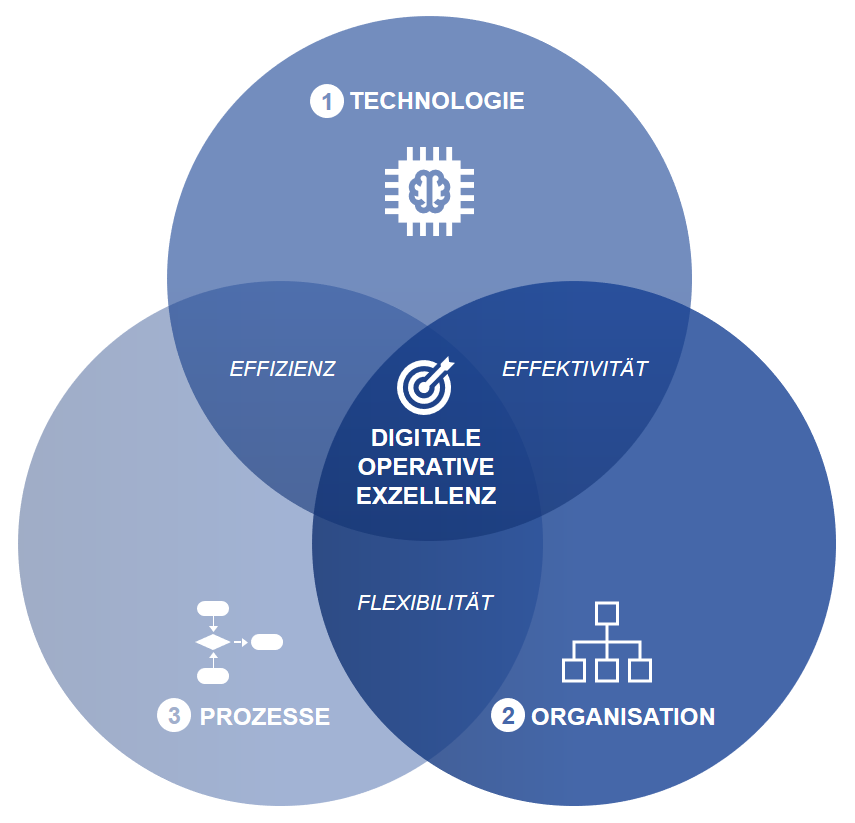 Operational Excellence. Operational Excellence logo. Operational Excellence Director. HR operational Excellence.